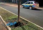 Polícia Militar detém suspeito de roubo em Paranaíba