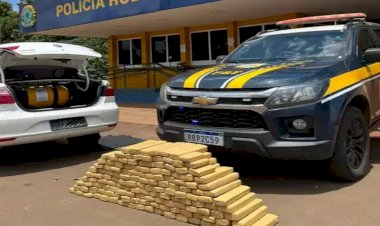 Traficante com carga de maconha vindo do MS é preso em Goiás