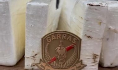 Polícia Civil prende homem que tentava levar drogas em ônibus que saiu da Capital para SP
