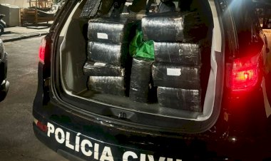 Polícia Civil apreende 250kg de maconha e prende suspeito em flagrante em Naviraí
