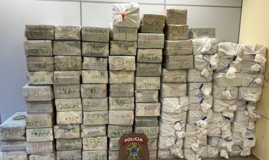 PF apreende caminhão com cerca de 2 toneladas de maconha na MS-295