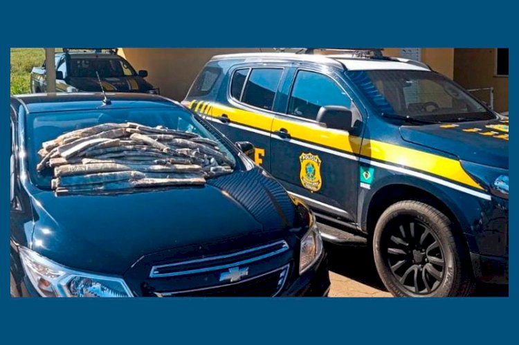 PRF apreende 35 Kg de maconha “ICE” em MS