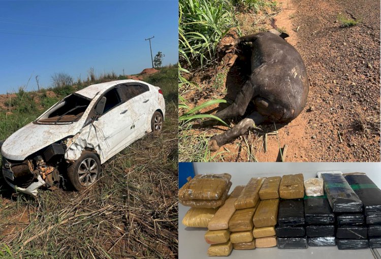 Homem natural de Cassilândia morre após carro bater em anta na GO-341; cerca de 30 tabletes de drogas são encontrados